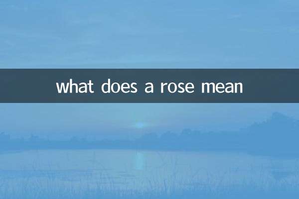 что означает роза