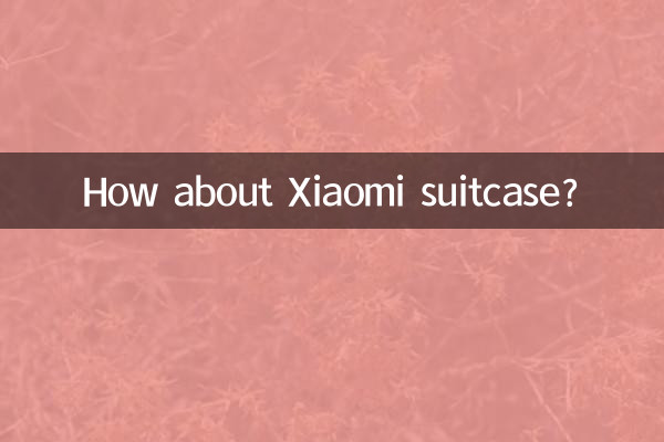 Как насчет чемодана Xiaomi?