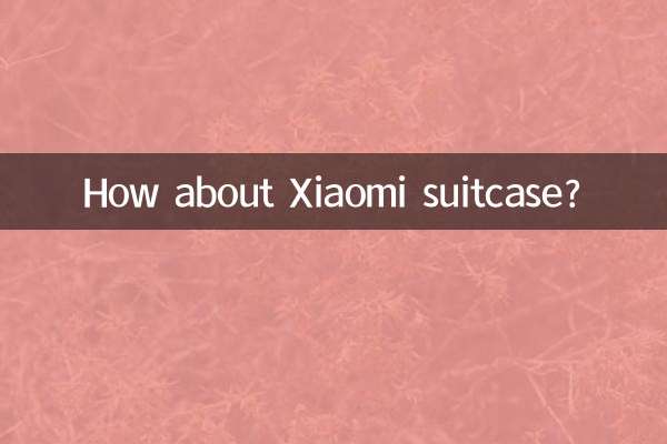 Che ne dici della valigia Xiaomi?