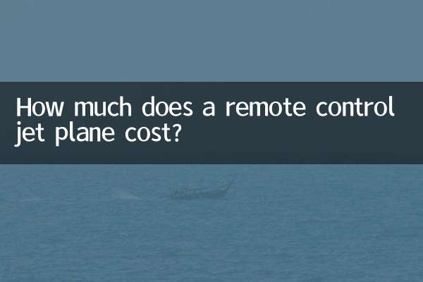 원격 조종 제트기의 가격은 얼마입니까?