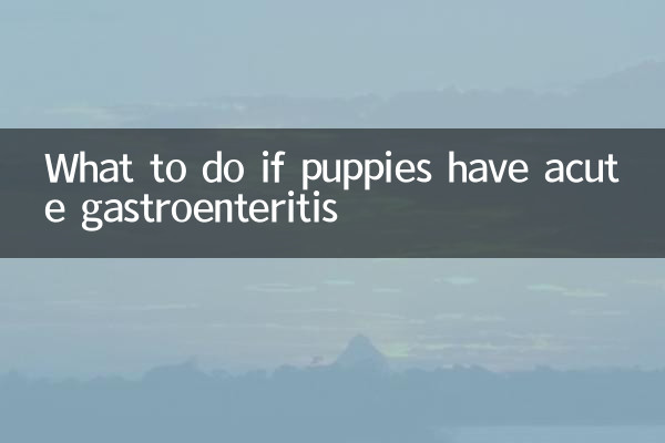 Que faire si les chiots ont une gastro-entérite aiguë