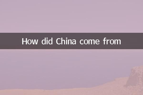 중국은 어떻게 왔는가