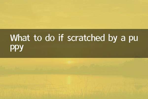 被幼犬刮伤怎么办