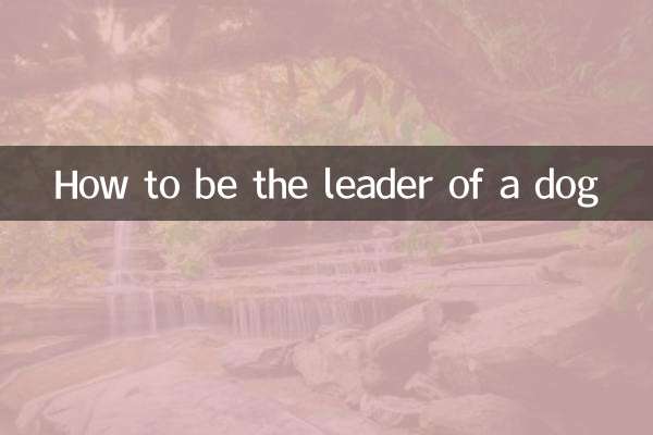 犬のリーダーになる方法