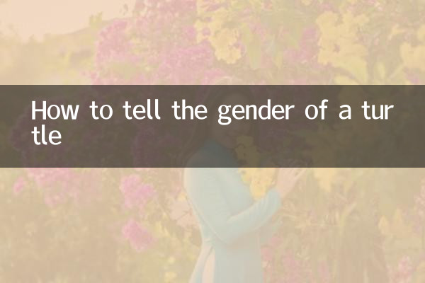 乌龟的性别怎么看