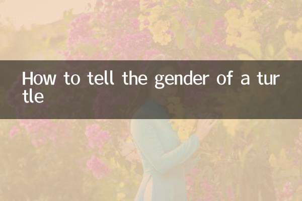 乌龟的性别怎么看