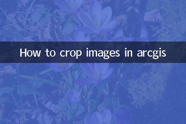 آرکیگس میں تصاویر کو کیسے فصل کریں