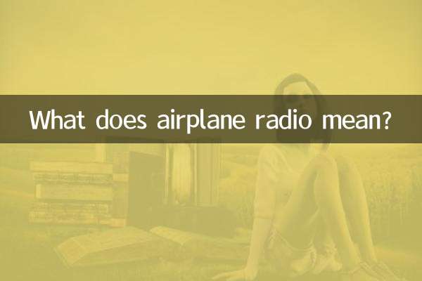 飛機radio什麼意思