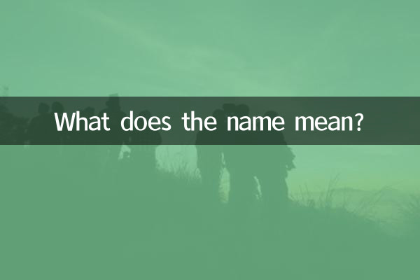 이름은 무엇을 의미합니까?