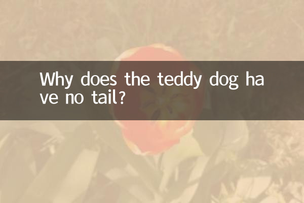 Pourquoi le chien en peluche n'a-t-il pas de queue ?