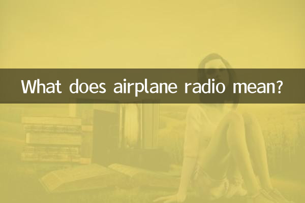 飛機radio什麼意思