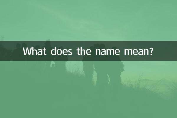 이름은 무엇을 의미합니까?