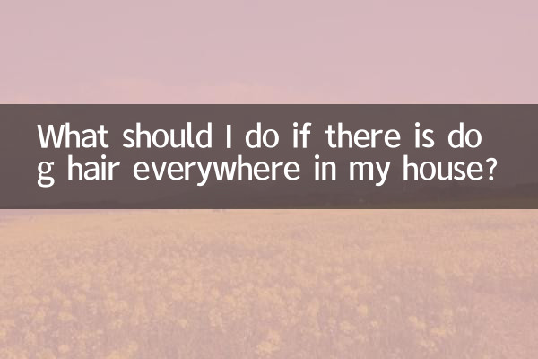 ¿Qué debo hacer si hay pelos de perro por todas partes de mi casa?