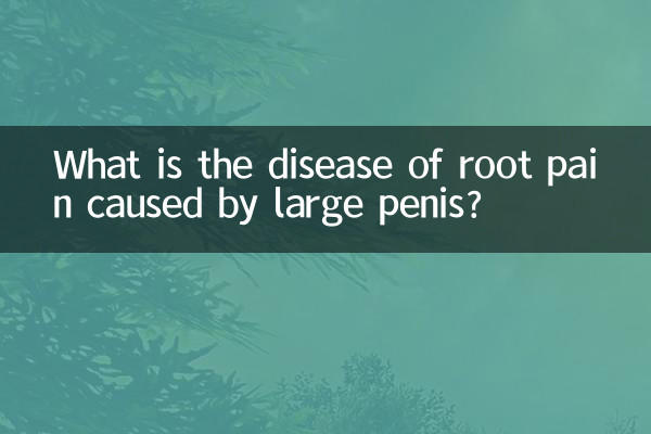 What is the disease of root pain caused by large penis?
