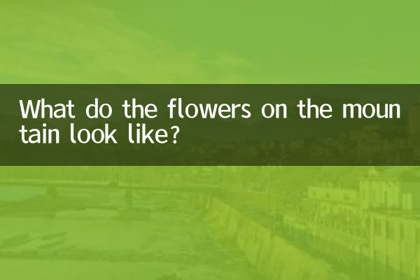 What do the flowers on the mountain look like?