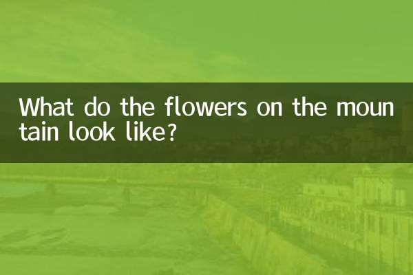 What do the flowers on the mountain look like?