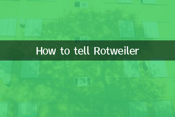 Como contar a Rotweiler