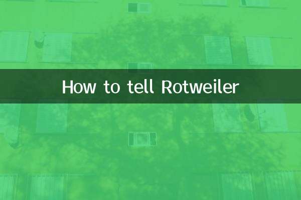 Como contar a Rotweiler