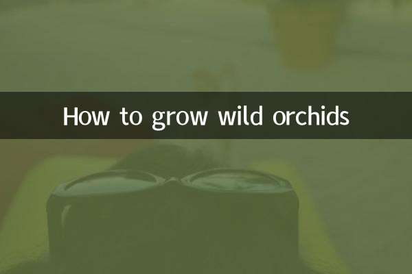 How to grow wild orchids
