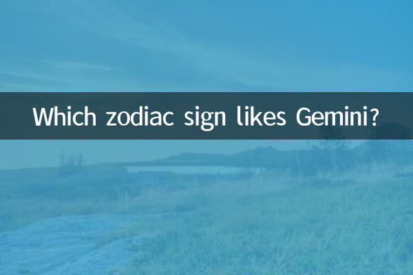 A quale segno zodiacale piacciono i Gemelli?