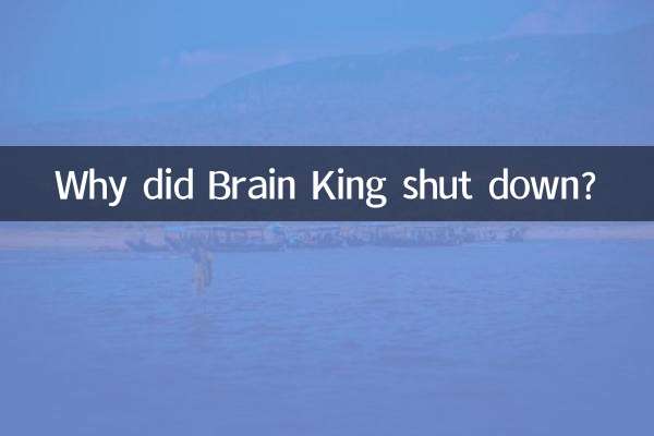 Por que o Brain King fechou?
