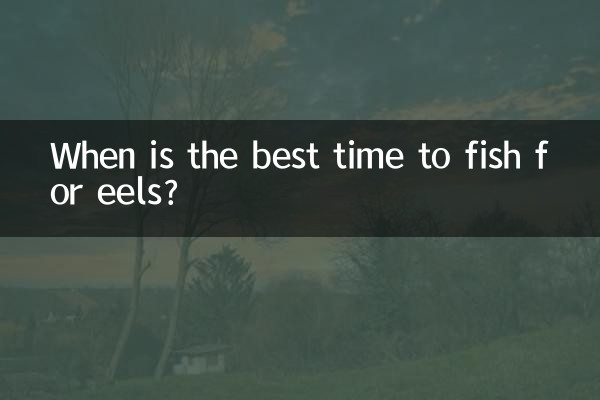 ঈলের জন্য মাছ ধরার সেরা সময় কখন?