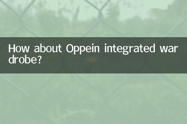 Как насчет встроенного шкафа Oppein?