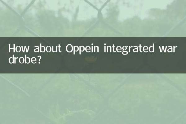 Как насчет встроенного шкафа Oppein?