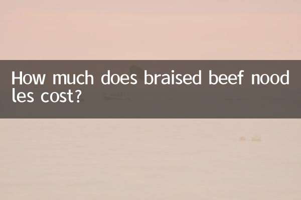 ¿Cuánto cuestan los fideos con carne estofada?