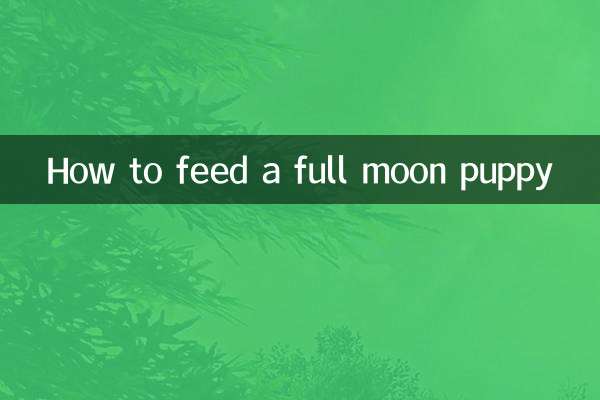 Comment nourrir un chiot de pleine lune