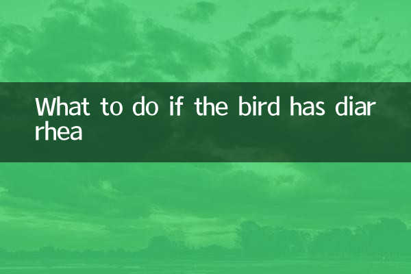 Что делать, если у птицы понос