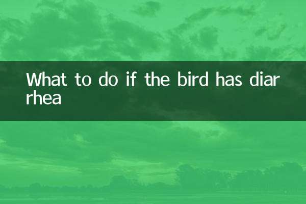새가 설사를 하면 어떻게 해야 할까요?