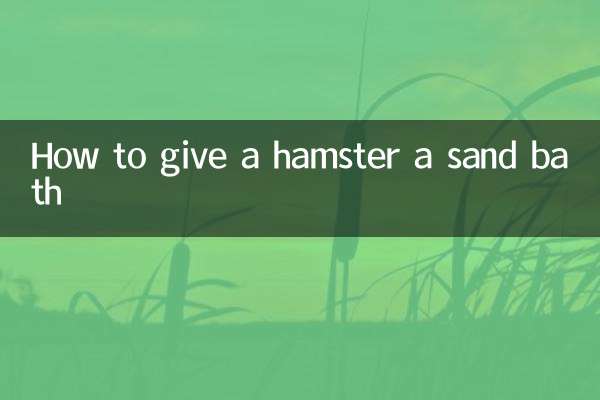 How to give a hamster a sand bath