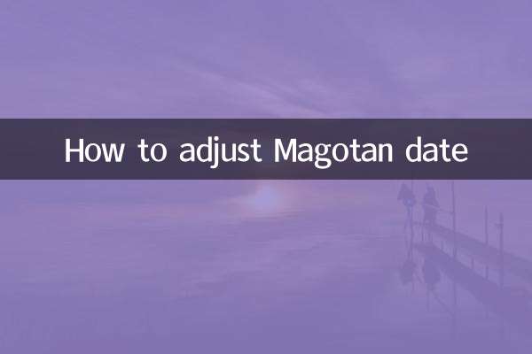 마고탄 날짜 조정 방법