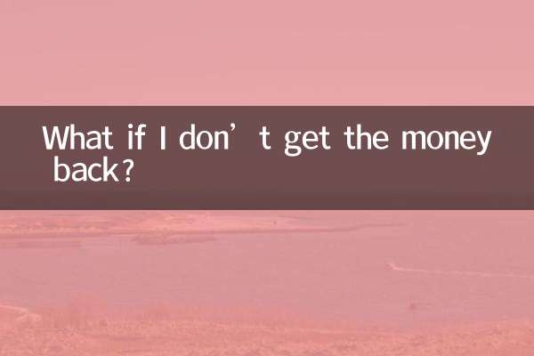 ¿Qué pasa si no recupero el dinero?