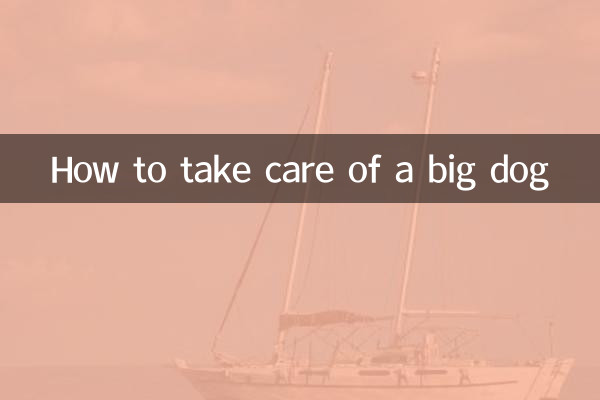 Comment prendre soin d'un gros chien