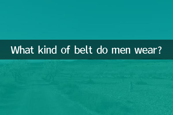 Quel genre de ceinture les hommes portent-ils ?