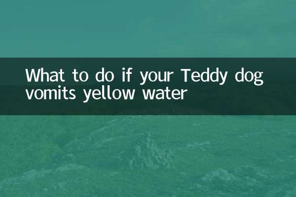 Que faire si votre chien Teddy vomit de l'eau jaune