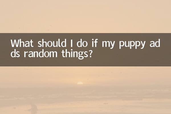 小狗亂添東西怎麼辦