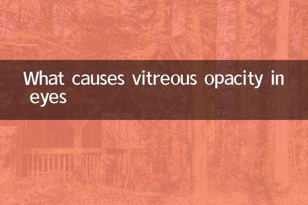 Cosa causa l'opacità del vitreo negli occhi