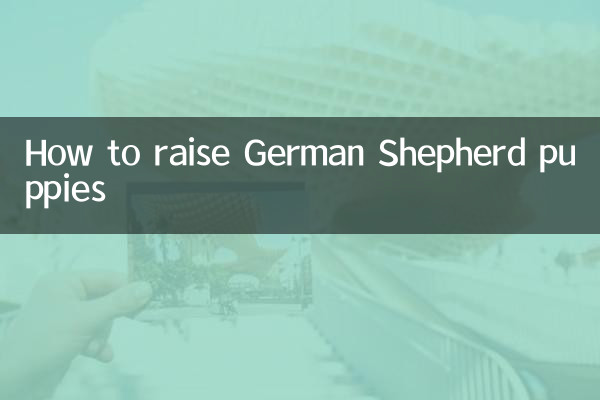 德国牧羊犬仔怎么养