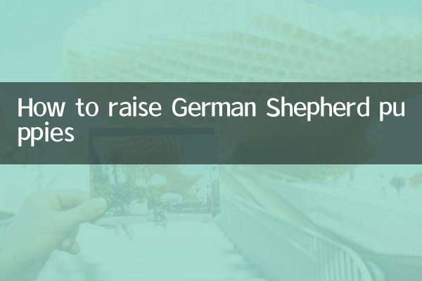نحوه پرورش توله سگ ژرمن شپرد