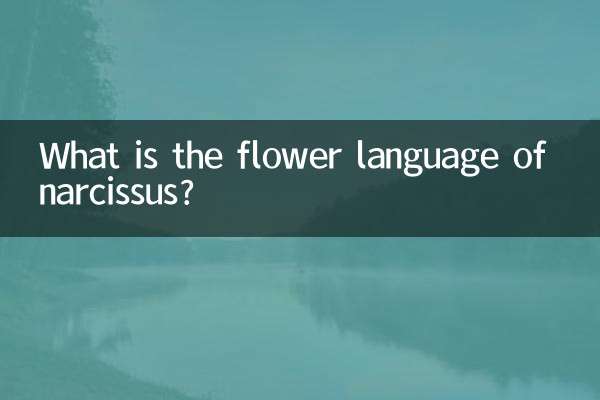 نارسیس کی پھولوں کی زبان کیا ہے؟