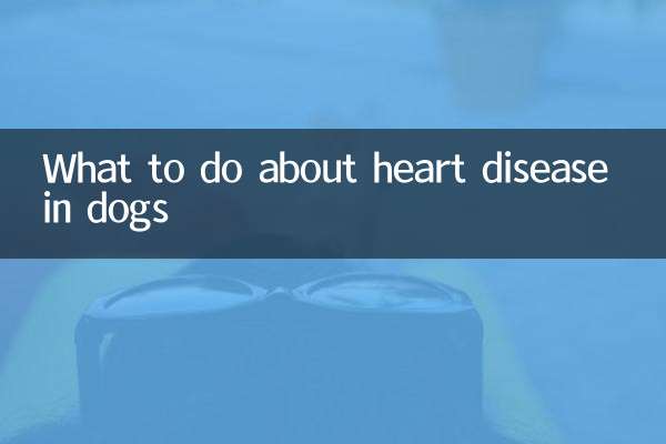 What to do about heart disease in dogs