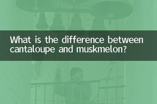 What is the difference between cantaloupe and muskmelon?
