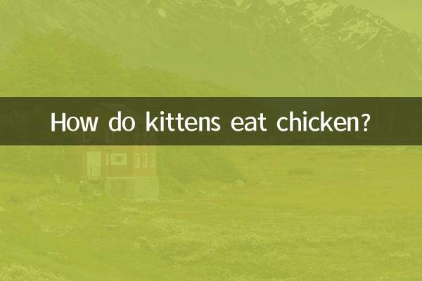 小貓怎麼吃雞肉