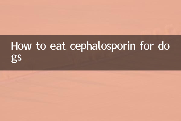 Comment manger de la céphalosporine pour les chiens
