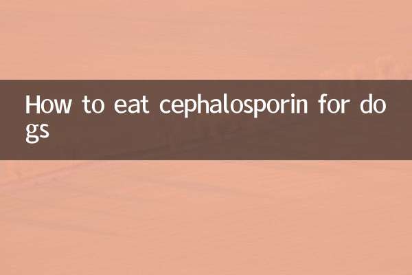 Comment manger de la céphalosporine pour les chiens