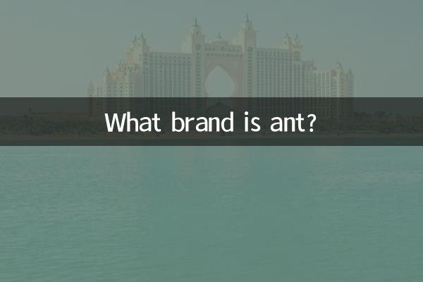 アリってどんなブランド？