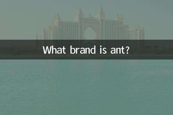 개미는 어떤 브랜드인가요?